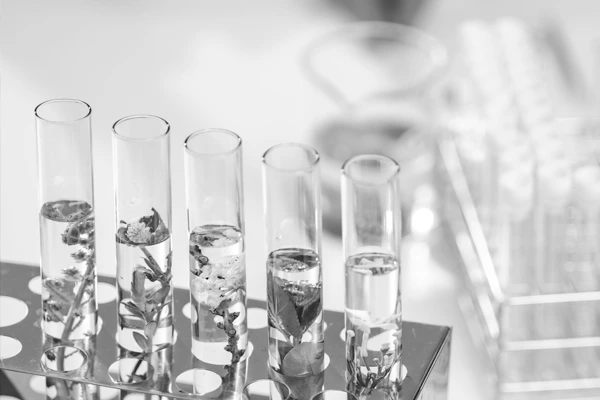 Cannabis Product Manufacturing