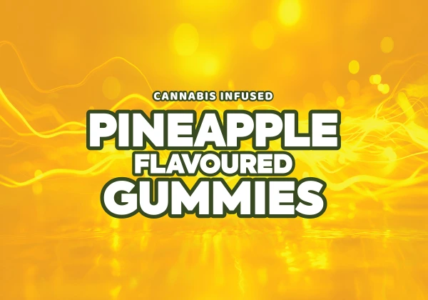 Cannacraze Flavoured Gummies - Pineapple