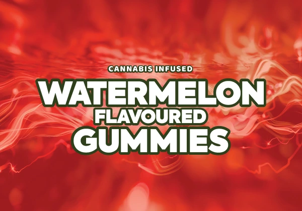 Cannacraze Flavoured Gummies - Watermelon